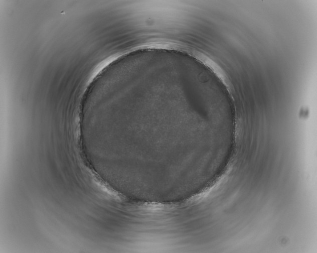X0000090420829200708101940