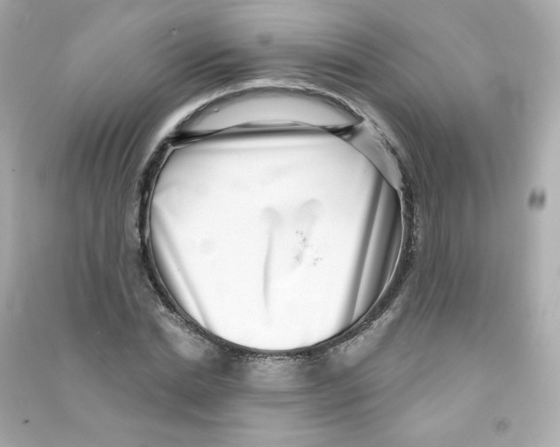 X0000090420830200708101940