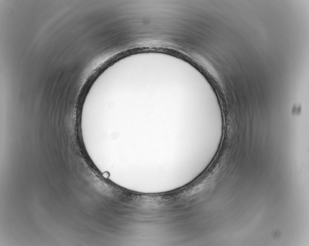 X0000090420831200708101940