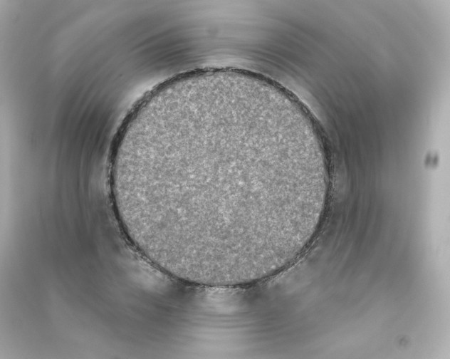 X0000090420832200708101940