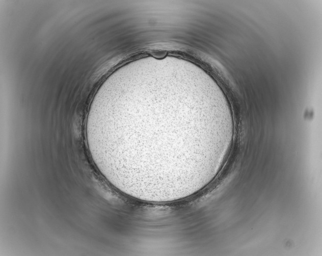 X0000090420833200708101940