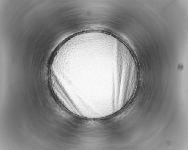 X0000090420835200708101940