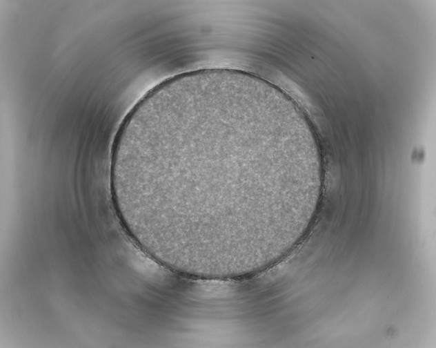 X0000090420836200708101940