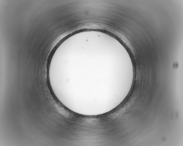 X0000090420837200708101940