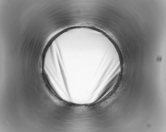 X0000090420838200708101940