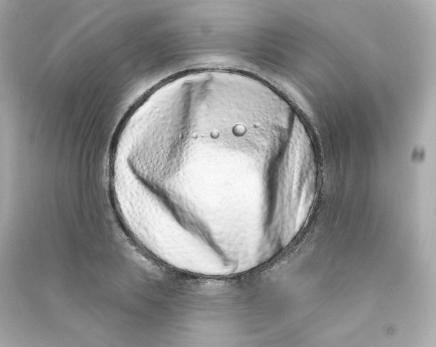 X0000090420839200708101940