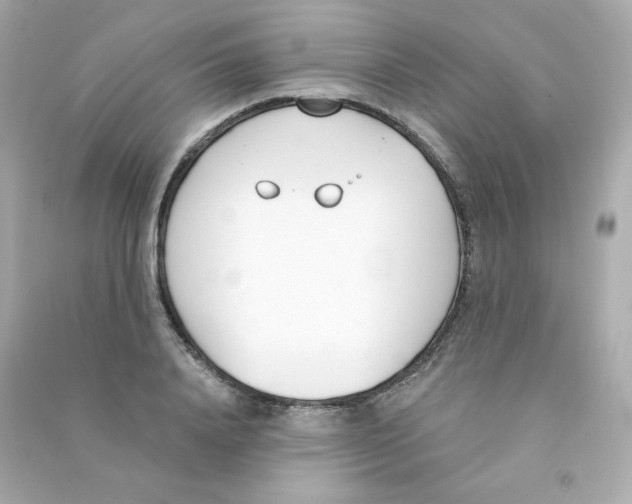 X0000090420840200708101940