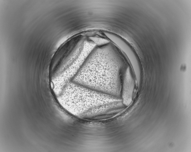 X0000090420842200708101940