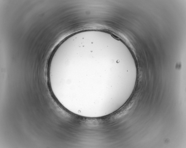 X0000090420843200708101940