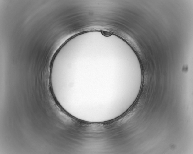 X0000090420844200708101940
