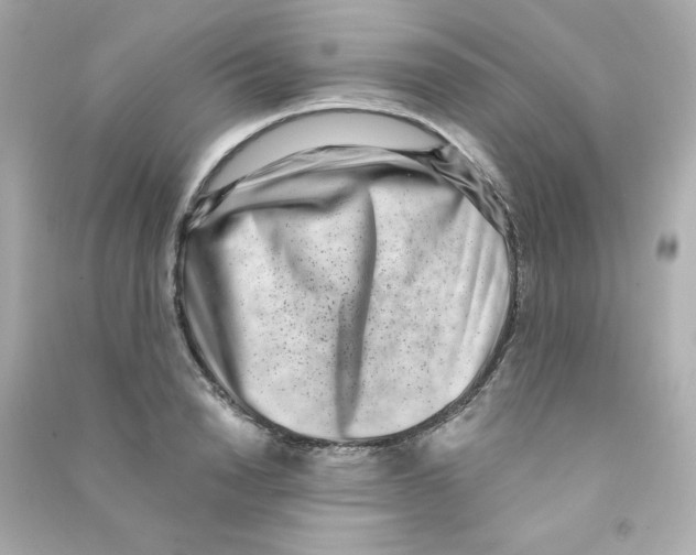 X0000090420846200708101940