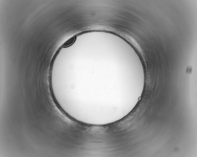 X0000090420847200708101940
