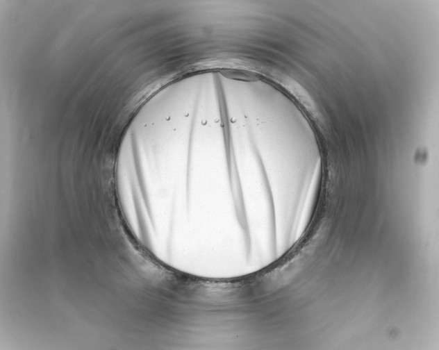 X0000090420849200708101940