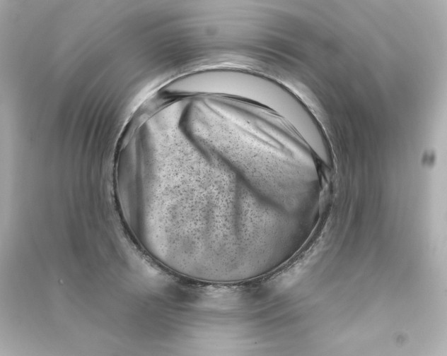 X0000090420850200708101940