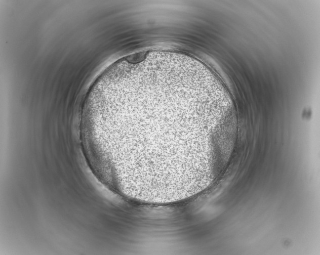 X0000090420851200708101941