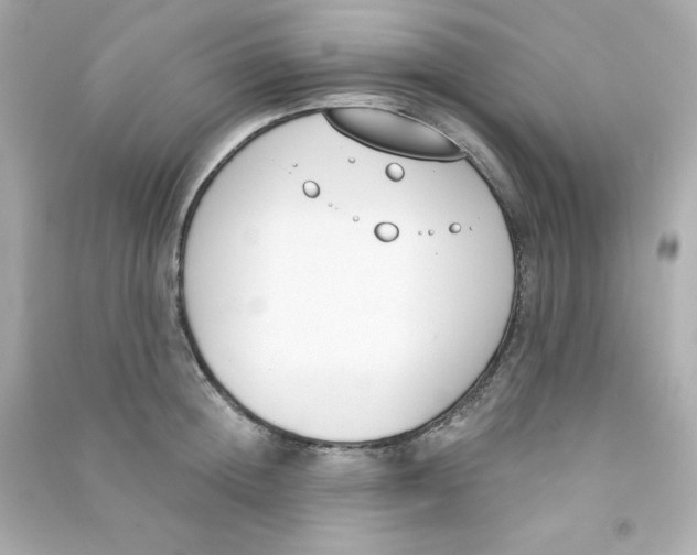 X0000090420852200708101941