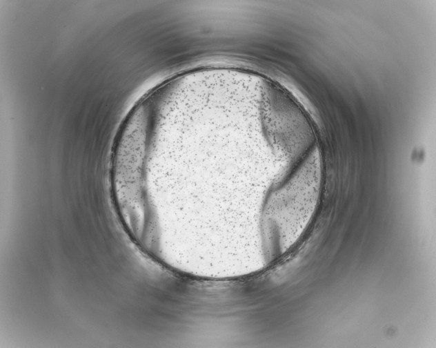 X0000090420853200708101941