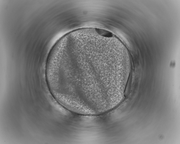 X0000090420854200708101941