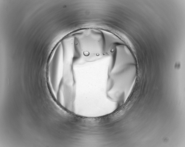 X0000090420855200708101941