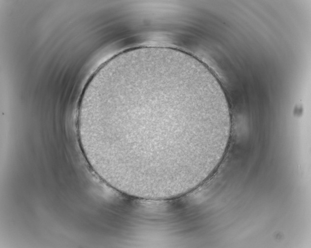 X0000090420856200708101941