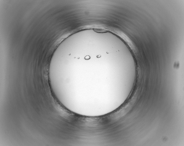 X0000090420857200708101941