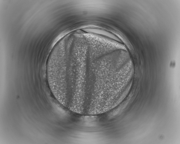 X0000090420858200708101941