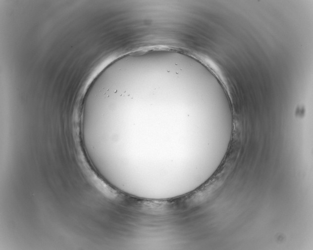 X0000090420859200708101941