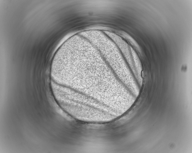 X0000090420860200708101941