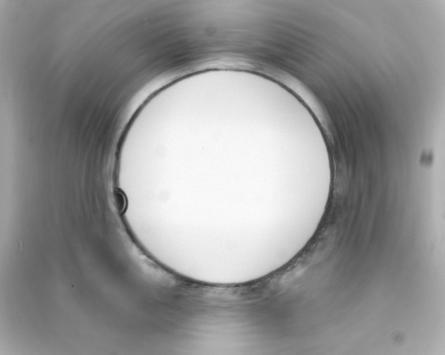 X0000090420861200708101941