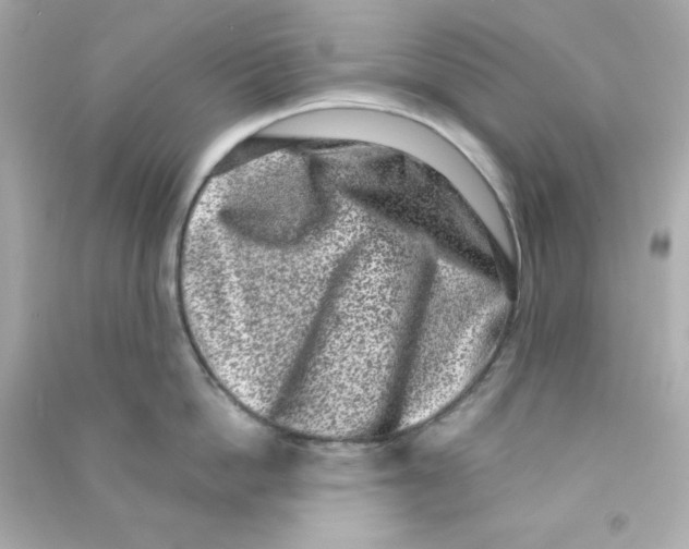 X0000090420862200708101941