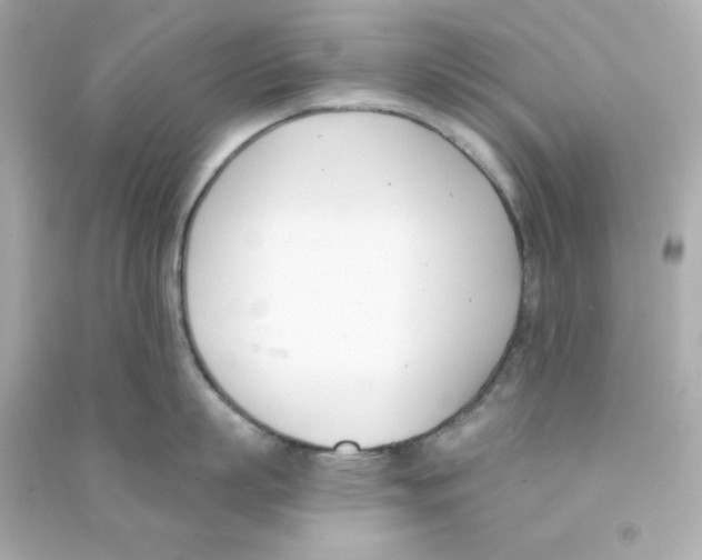 X0000090420863200708101941