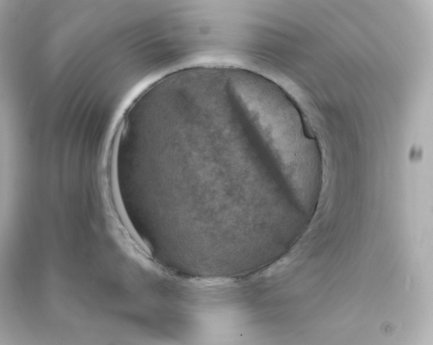 X0000090420864200708101941