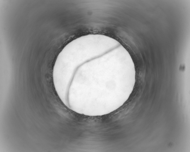 X0000090420865200708101940