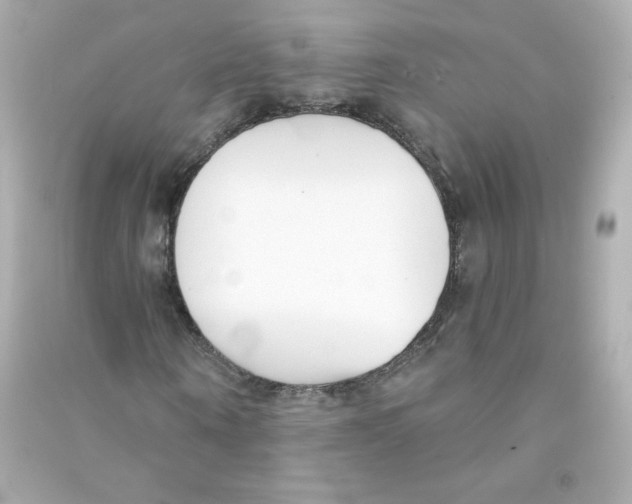 X0000090420866200708101940