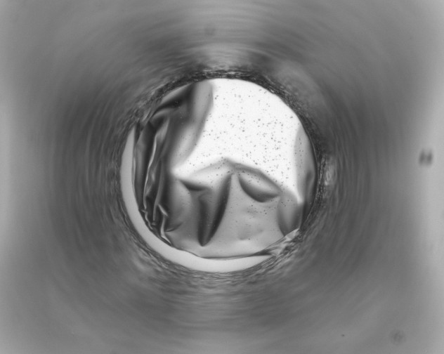 X0000090420868200708101940