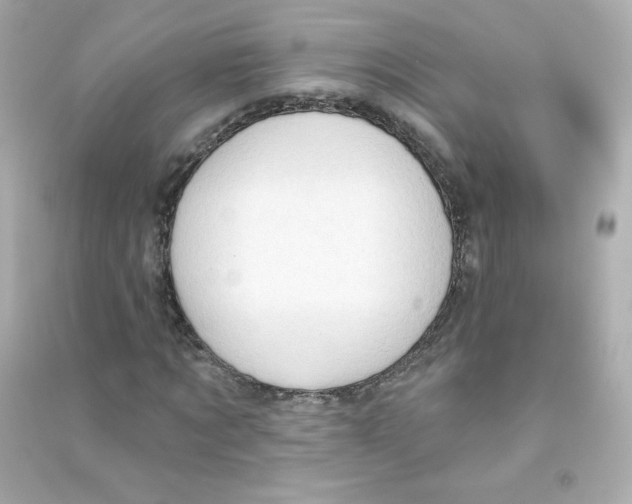 X0000090420869200708101940