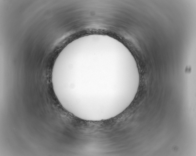 X0000090420870200708101940