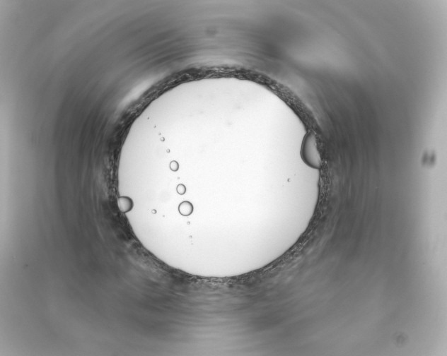 X0000090420871200708101940