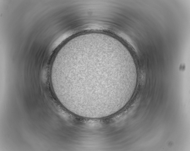 X0000090420874200708101940