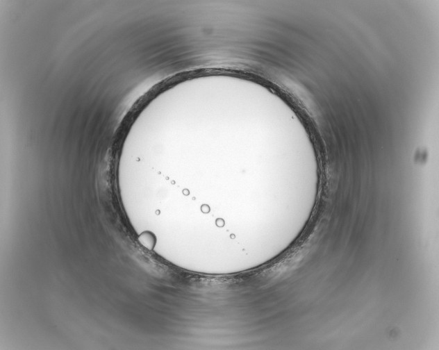 X0000090420875200708101940