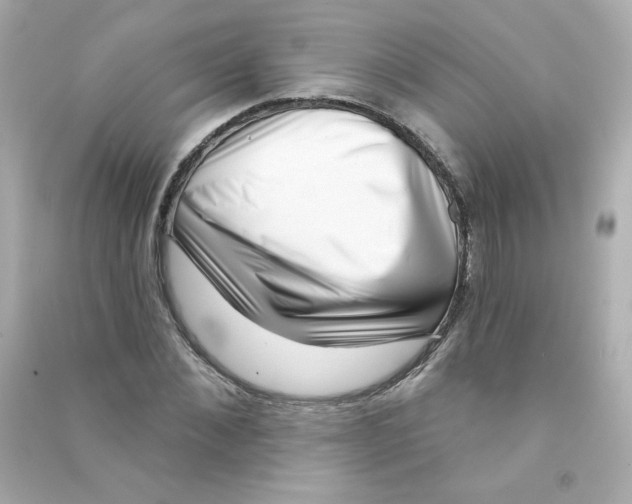 X0000090420876200708101940