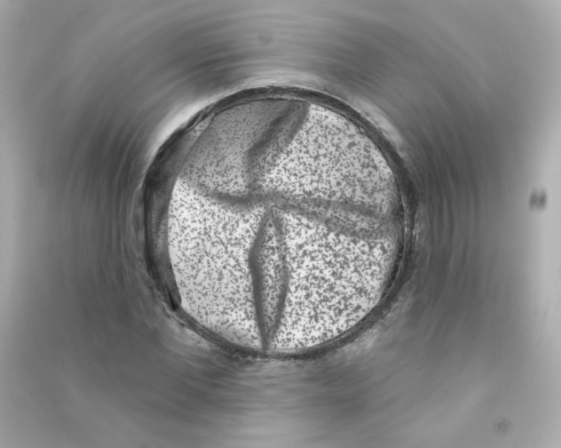 X0000090420877200708101940