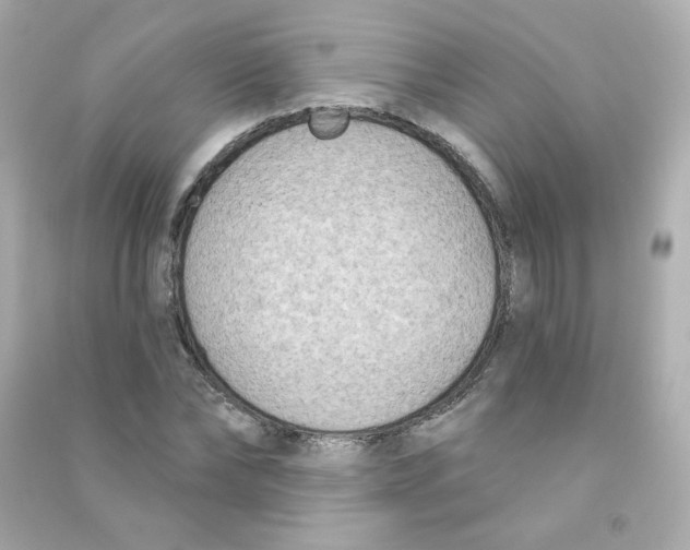 X0000090420878200708101940