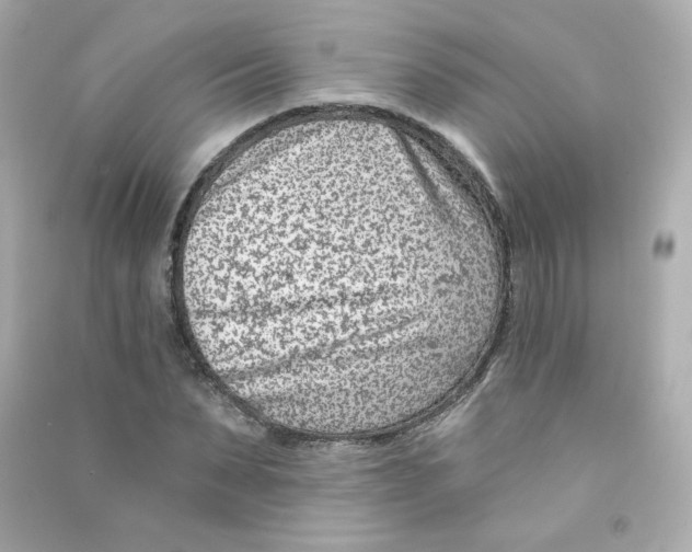 X0000090420879200708101940