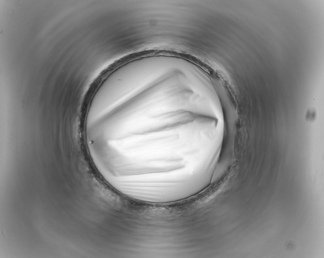 X0000090420880200708101940
