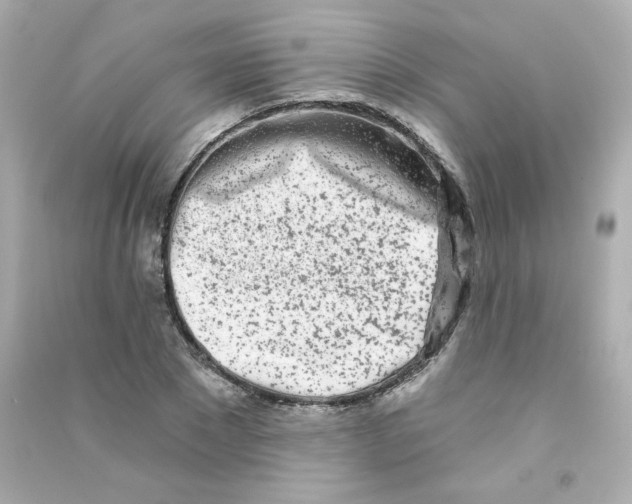 X0000090420881200708101940