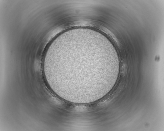 X0000090420882200708101940