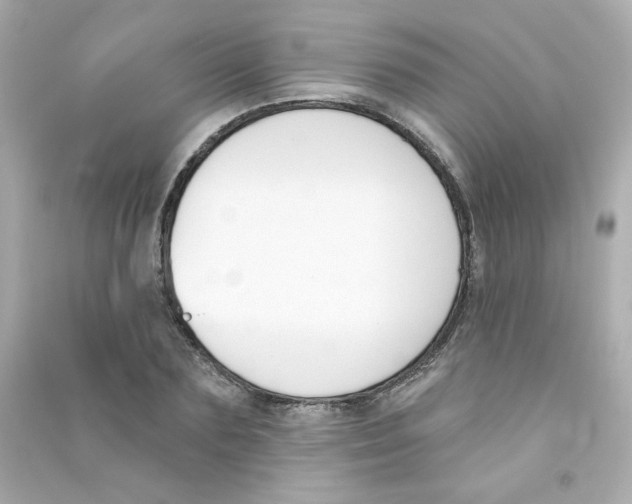 X0000090420883200708101940