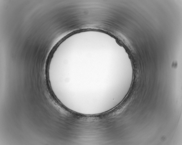 X0000090420884200708101940