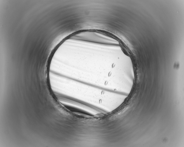 X0000090420885200708101940